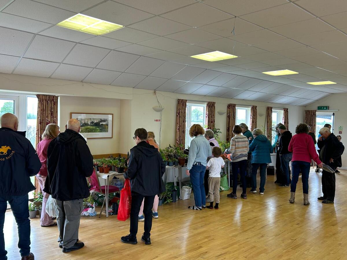 PLANT SALE 